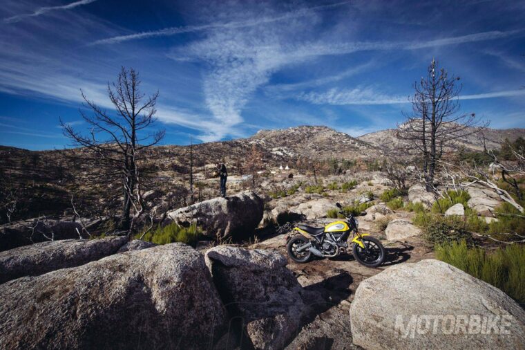 Dicati Scrambler Icon