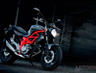 Suzuki Gladius 3 Suzuki Gladius