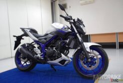 Yamaha MT 03 2016 01