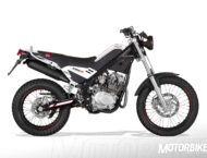 Rieju Tango 125: galería de fotos y ficha técnica 5 Rieju Tango 125 4