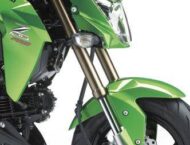 Kawasaki Z125 24