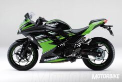 Kawasaki Ninja 300 2016 KRT Edition