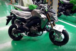 Kawasaki Z125 principal