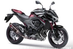 Kawasaki Z800 Sugomi Edition 2016