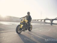 Yamaha 2016 TZR900 Faster Wasp