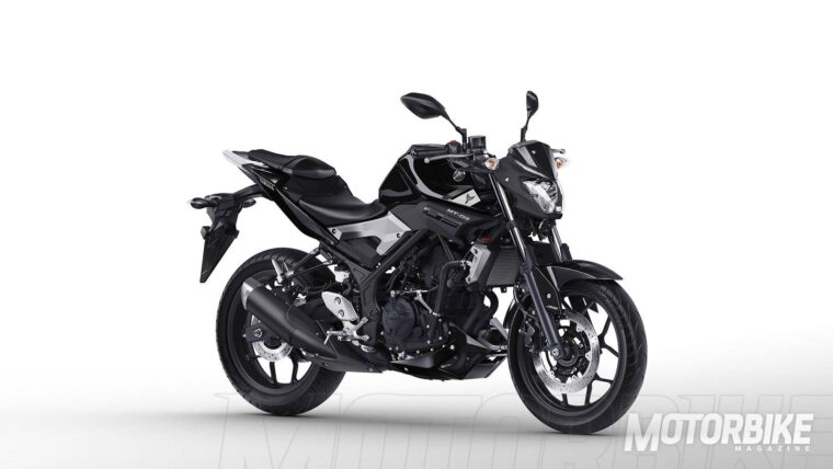 Yamaha MT 03 2016 15