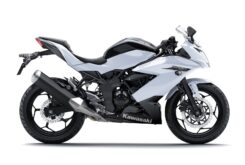 Kawasaki Ninja 250SL 2015
