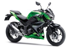 Kawasaki Z300 2015