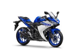 Yamaha YZF-R3 2015