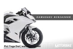 Kawasaki Ninja 300R 2017