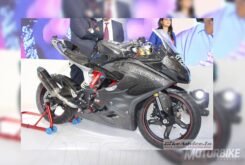TVS Akula - BMW G 310 RR