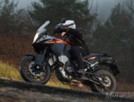 RTweb 008 J.Benavente