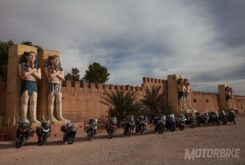 organizados marruecos