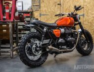 triumph street twin down and out 06