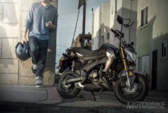 kawasaki z125 pro 44