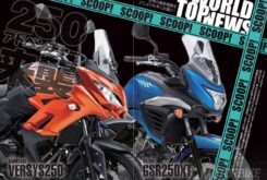 Kawasaki Versys 250 Suzuki V Strom 250