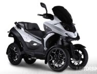 Quadro4 2016 24 Quadro4 white