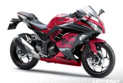 kawasaki ninja 300 2017 3