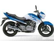 Suzuki Inazuma 250 20 suzuki inazuma z 2017 02