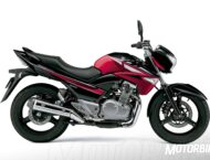 Suzuki Inazuma 250 21 suzuki inazuma z 2017 03