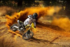 Suzuki RM-Z450 2017 3 suzuki rm z450 2017 03