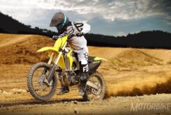 Suzuki RM-Z450 2017 2 suzuki rm z450 2017 04