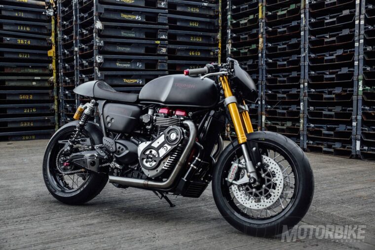 triumph thruxton bulldog 18