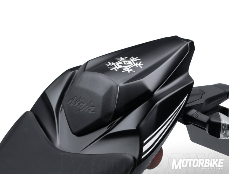 kawasaki-zx-10rr-2017-detalles-006