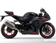 Suzuki GSX-R1000 2015 16 suzuki gsx r1000 2017 colores 005