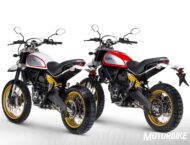 ducati scrambler desert sled 2017 017
