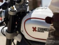 ducati scrambler desert sled 2017 03
