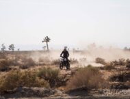 ducati scrambler desert sled 2017 09