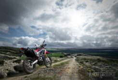 Top 10. Las mejores trail 2019 para el carnet A2 7 17YM CRF250 Rally