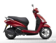 Yamaha D'elight 2017