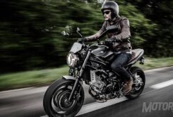 Suzuki SV650 Scrambler: Sólo disponible en Francia 19 suzuki sv650 scrambler 2017 francia 05