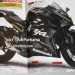 BikeLeaks. Posible Kawasaki Ninja 300 2018