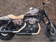 Concurso de personalizaciones Harley-Davidson: The Battle of the Kings III 15 Harley Davidson Roadster Battle Kings 08