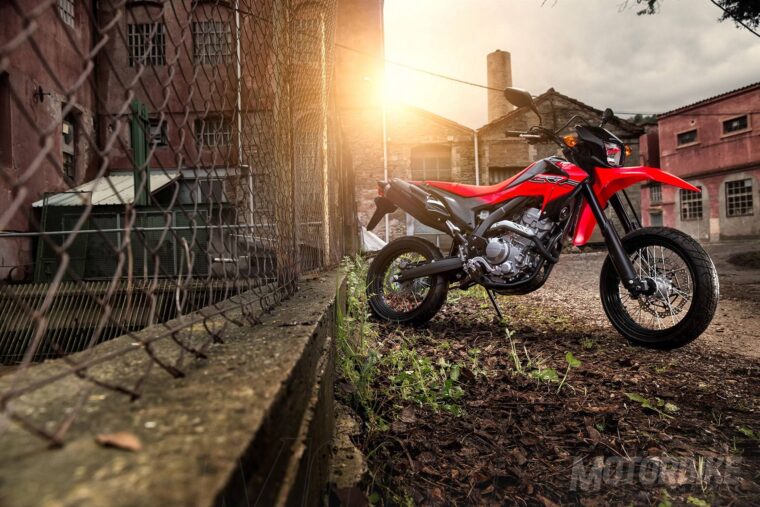 CRF250M