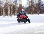 Quadro4 2016 17 Quadro4 035