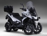 Quadro4 Steinbock 2017 14 Quadro4 Steinbock 2017 001