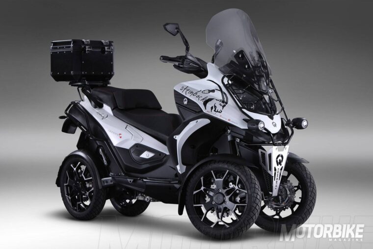 Quadro4-Steinbock-2017-001