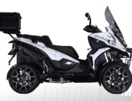 Quadro4 Steinbock 2017