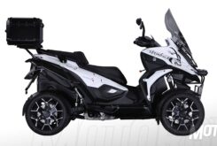 Quadro4 Steinbock 2017