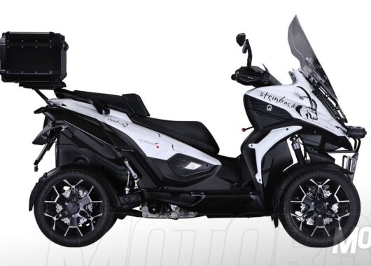 Quadro Quadro4 Steinbock