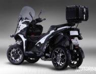 Quadro4 Steinbock 2017 10 Quadro4 Steinbock 2017 005