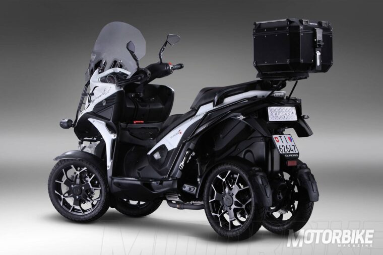 Quadro4-Steinbock-2017-005