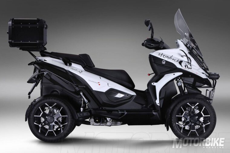 Quadro4 Steinbock 2017 11 Quadro4 Steinbock 2017 007