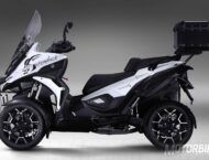 Quadro4 Steinbock 2017 13 Quadro4 Steinbock 2017 010