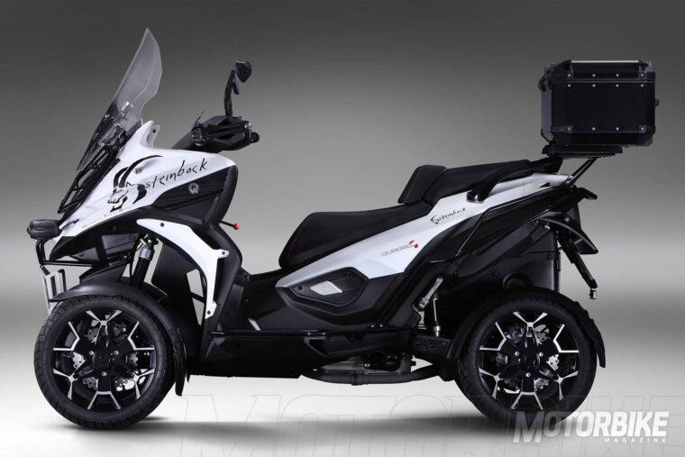 Quadro4-Steinbock-2017-010