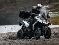 Quadro4 Steinbock 2017 3 Quadro4 Steinbock 2017 022